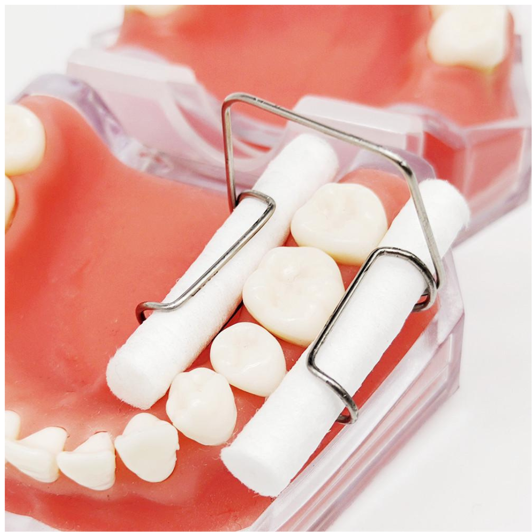 Stainless Steel Cotton Roll Holder / Cotton Roll Retractor