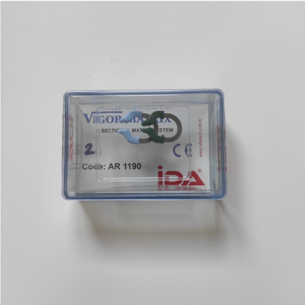 Vigor Sectional Matrix Rings