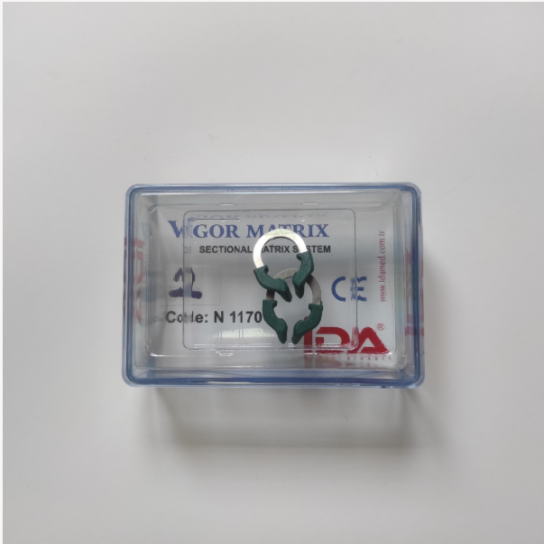 Vigor Sectional Matrix Rings