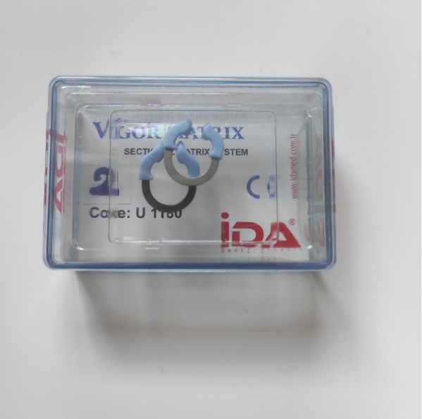 Vigor Sectional Matrix Rings