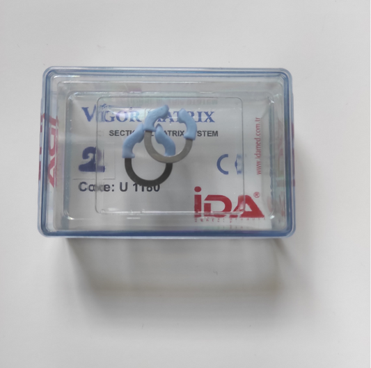 Vigor Sectional Matrix Rings